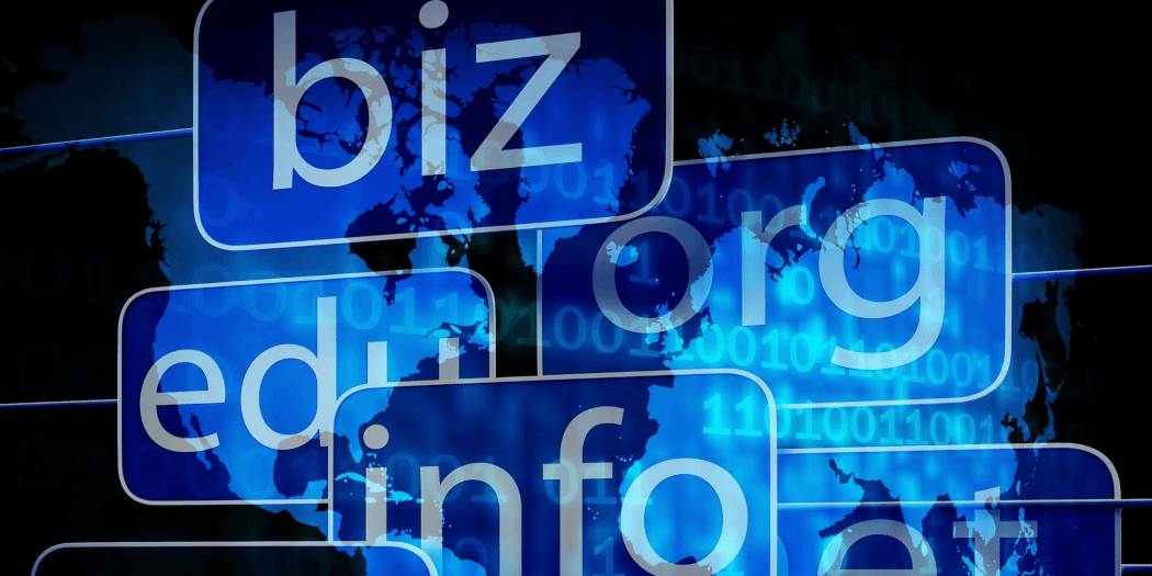 Understanding the New Top Level Domains (TLDs)