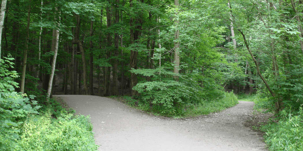 Affiliate Programs vs. Reseller Hosting: Which Should You Use?